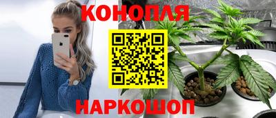 скорость Обь