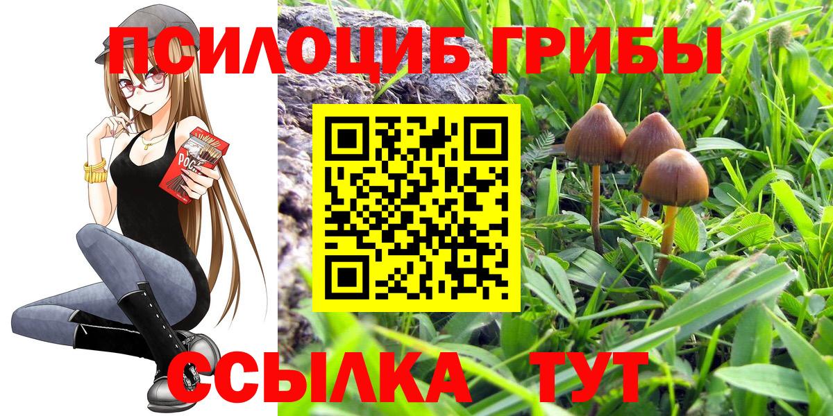 Галлюциногенные грибы Magic Shrooms Саратов